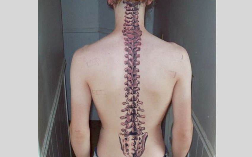 Anatomical