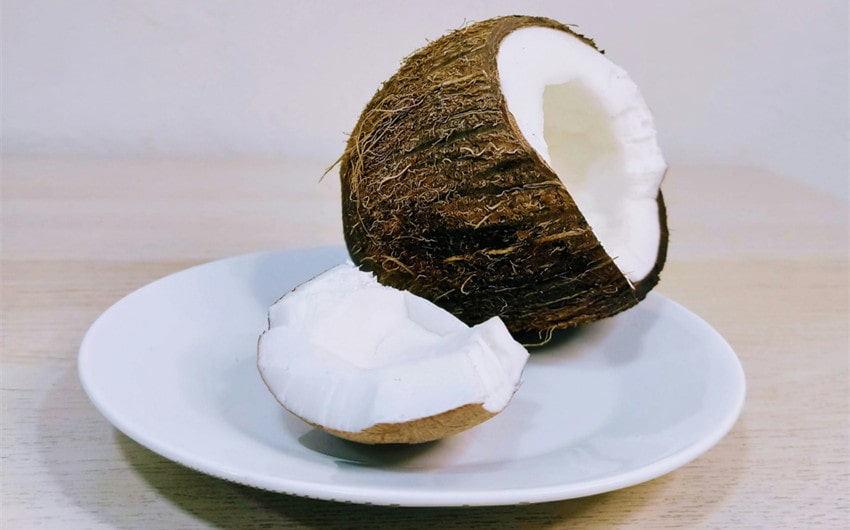 Coconut Meat