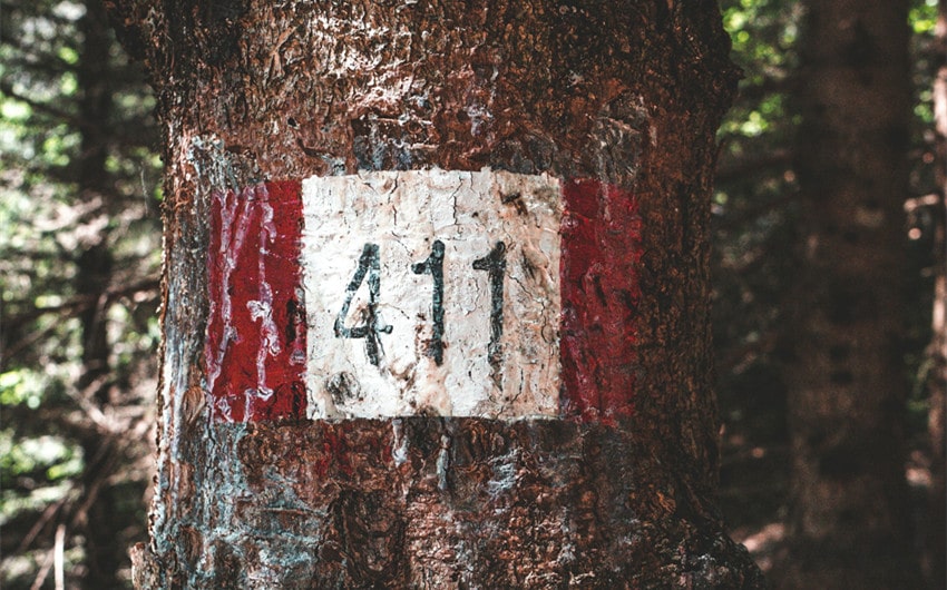 411
