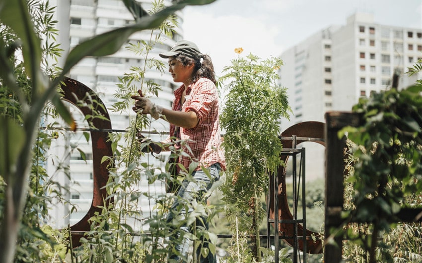 Gardening
