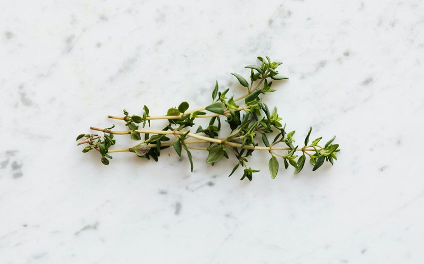 Thyme