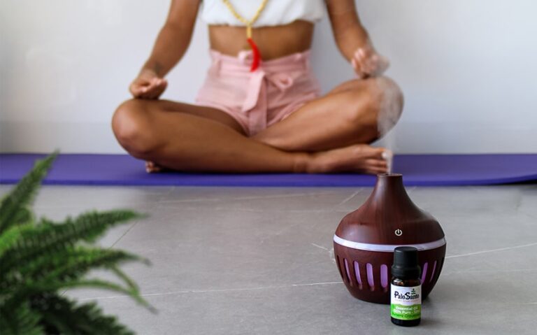 palo santo protects your energy